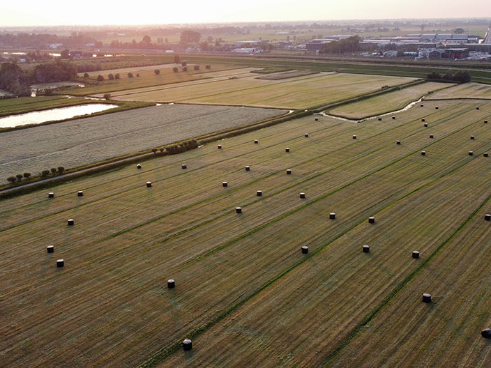 Farmland 