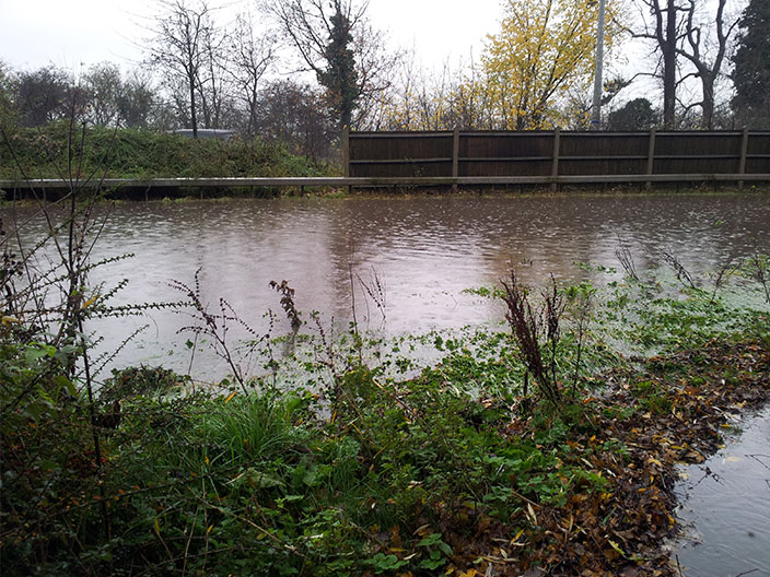 Flooded land