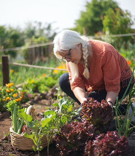 Person growing vegetables