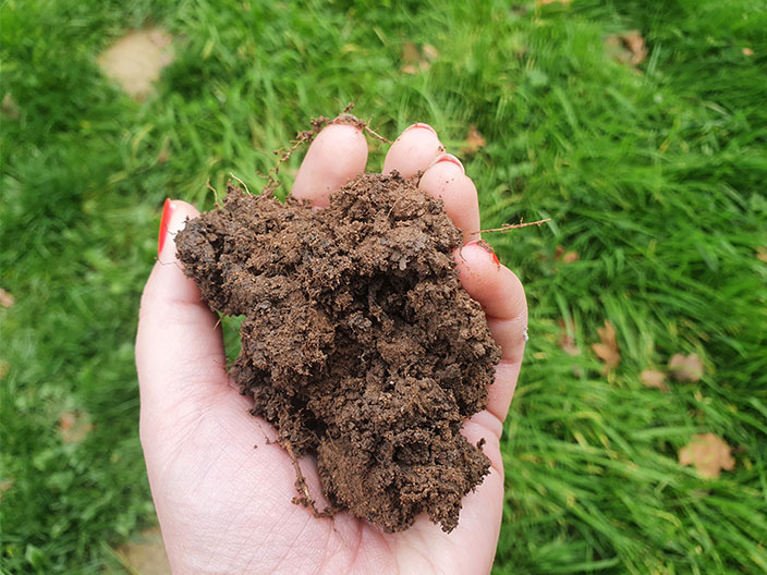 Handful of soil